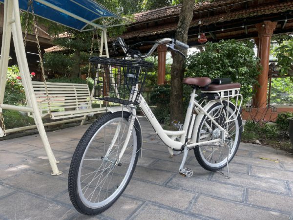 xe đạp trợ lực điện wiibike mira 36V